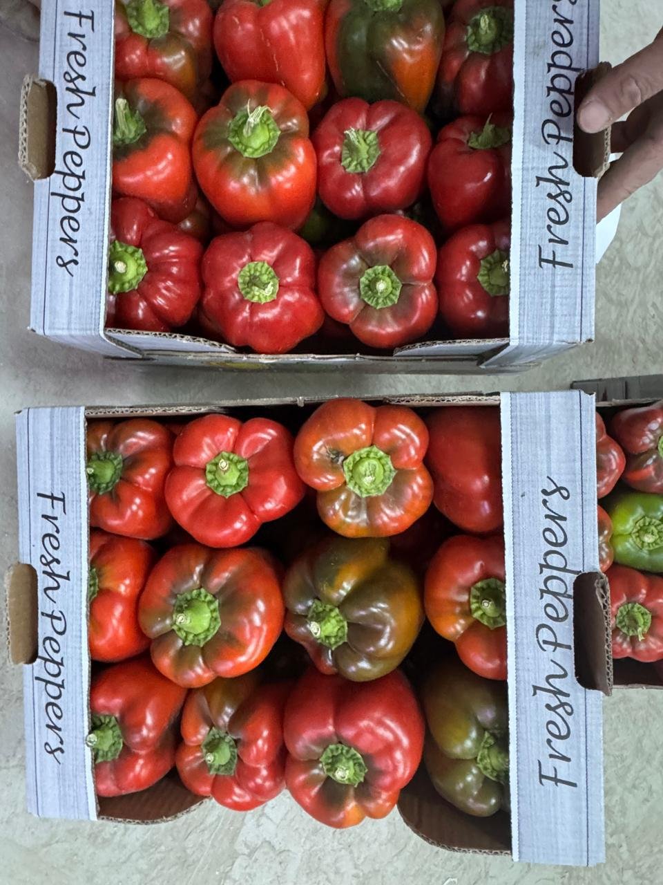 Bell peppers