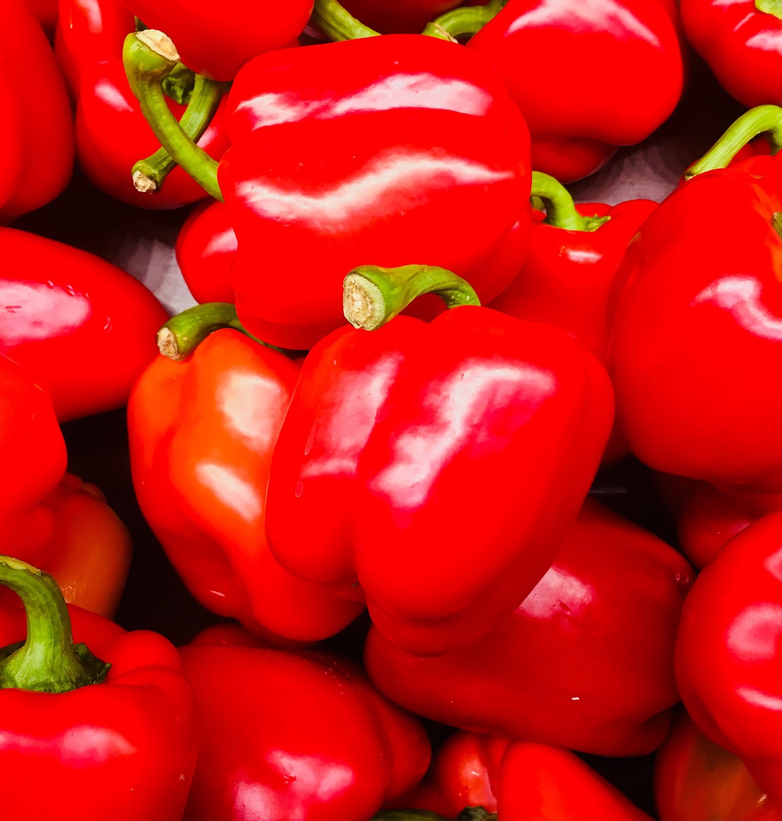 Palletized bell peppers ready for export